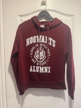 218-Hogwarts School of Witchcraft & Wizardry Alumni Hoodie – Harry Potter Sweat